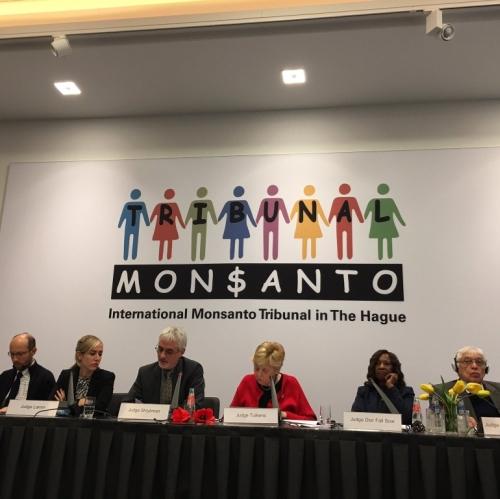 Tribunal Monsanto : Monsanto accusé d'écocide et de violations des droits de l'Homme Tribunal Monsanto : Monsanto accusé d'écocide et de violations des droits de l'Homme